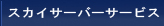 スカイサーバーサービス